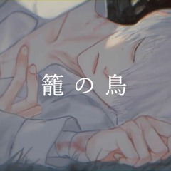 籠の鳥 (Caged Bird) - BIN