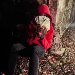 spoof - muha med snippet (gxmini)