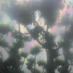 🥀☥ 𝖉𝖔𝖓'𝖙 𝖐𝖎𝖑𝖑 𝖒𝖞 𝖛𝖎𝖇𝖊 ☥🥀