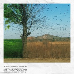adm:t & Tember Blanche - Метаморфосінь (OLD MUSICIAN REMIX)