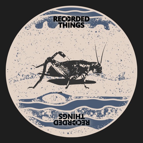 TC Premiere: MSDMNR - Alert [ Recorded Things ]