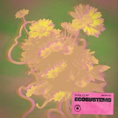 FSON02: EcoSystemS by Soul Clap