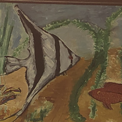 כאייל תערוג - זוהר גפני - 28.10.22