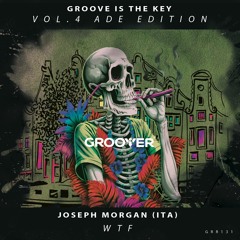 Joseph Morgan (Ita) - WTF (Original Mix)