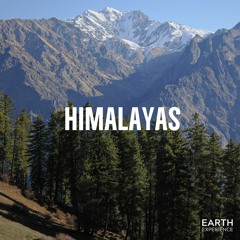 Wild Himalayas: Demo Preview