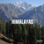 Artwork for Wild Himalayas: Demo Preview
