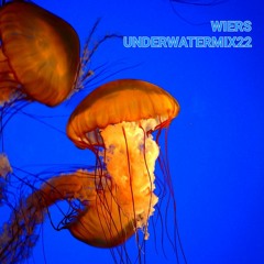 Underwater DJ Mix 2022 [ambient deep house electronica]