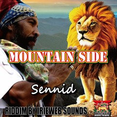 SENNID & IRIEWEB SOUNDS - MOUNTAIN SIDE!!