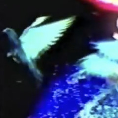 Doves (prod. paryo)