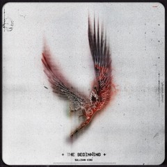 The Beginning