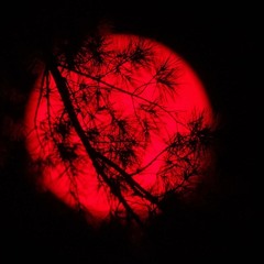 Genetek - Bloodsun