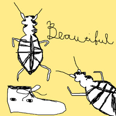 two dust mites