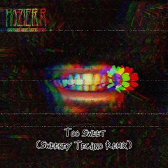 Hozier - Too Sweet (Sweeney Techno Remix)
