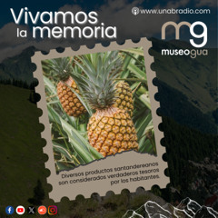 Vivamos la Memoria - Cápsula 382: Piña oro miel