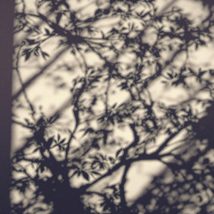 Subtle Shadows