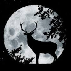 Stargazing: Full Buck Moon (Session 002) 7-10-25