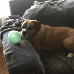 You Only Live Twice (John Barry Cover)