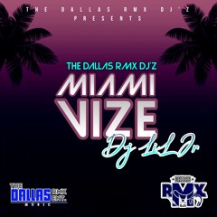 MIAMI VIZE