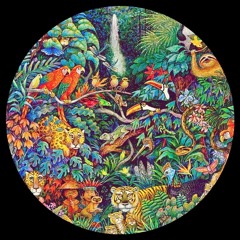 "Ritual Mystical in the jungle" Tropical Micro house Mix by TÖNE 27/11/2023