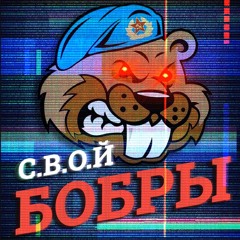 С.В.О.Й