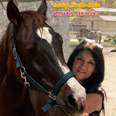 Artimus The Poet Country