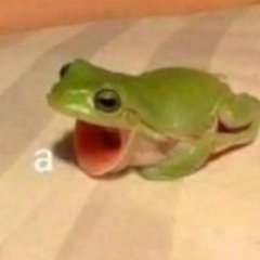 Funny Little Frog
