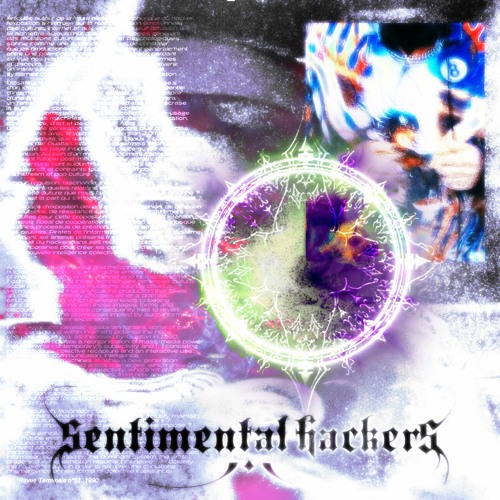 SENTIMENTAL HACKERS