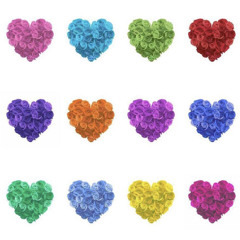 Chasing Dreams (Fucking Fans Remix)