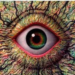 Mr Tom and the techno tunes