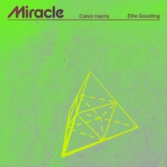 Calvin Harris, Ellie Goulding - Miracle (evolon remix)