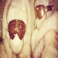 quinn - and most imporantly, have fun (slowed)