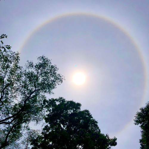 Lamp Fes 28th.June.2025