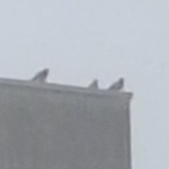 Ringtones of Flames [prod. velvet]