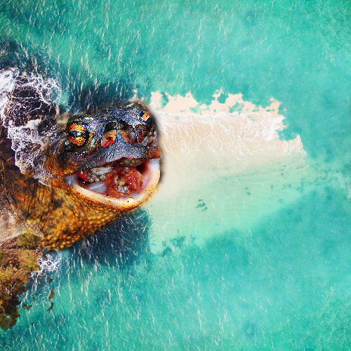 The Way of the Toad (Fijimix)