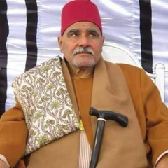 سورة القيامة . الشيخ  السيد متولي .