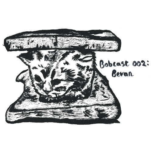 Bobcast 002: Bevan