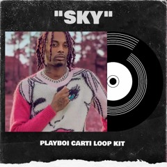 [FREE] Playboi Carti Loop Kit / Sample Pack (Hyperpop Melody Loops) | "Sky"