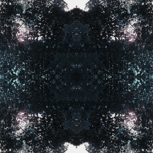 Morph - Ambient -Psychedelic DUB CHILLOUT PROGRESSIVE PSYBIENT Minimal Bass