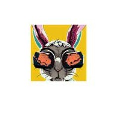 MIX BAD BUNNY