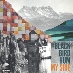 black bird hum - "My Side"