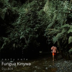n a s t y  n a t e - Fungua Kinywa. Day 804 - AFRO DEEP + AFRO TECH HOUSE