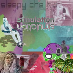Simulation