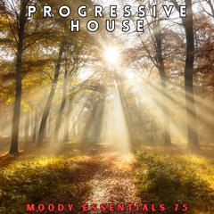 Moody Essentials 75 ~ #ProgressiveHouse Mix