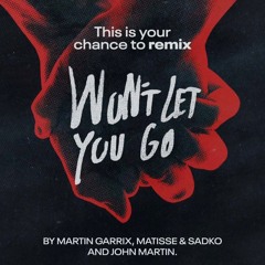 Martin Garrix - Won't Let You Go (Jake Brown Remix)