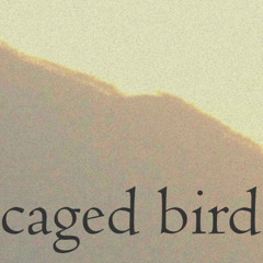 caged bird (naviarhaiku594)