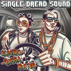Malik SingleDread - Electro Muffin Mixtape | Mashups & Remixes