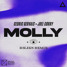 Cedric Gervais x Joel Corry - Molly (R3liks remix)