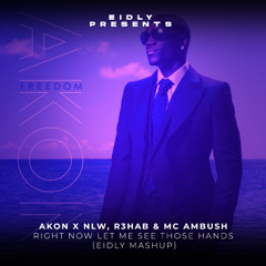 Akon X NLW, R3HAB & MC Ambush - Right Now Let Me See Those Hands (Eidly Mashup)[Filtered & Pitched]