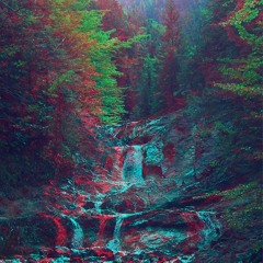 Dream Forest
