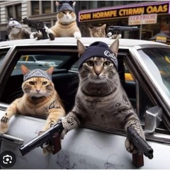 20250809-2  貝塔餐酒館 Beta bistro